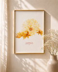 Delicate peonies floral art prints
