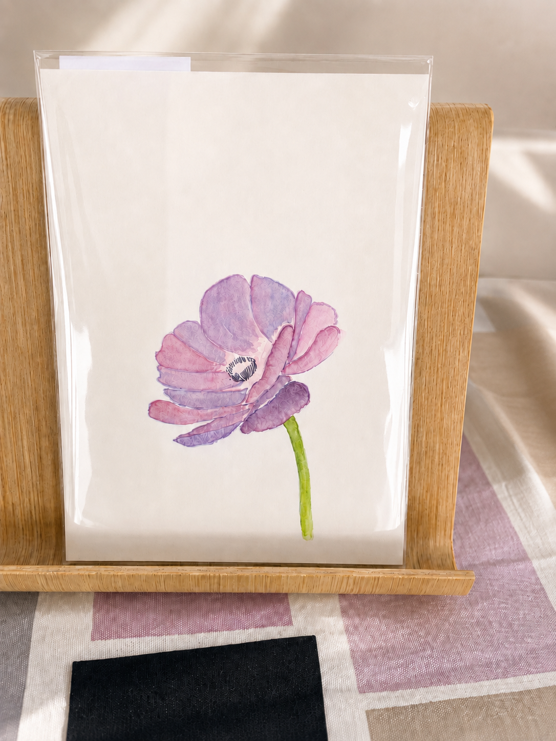 Original Anemone single flower